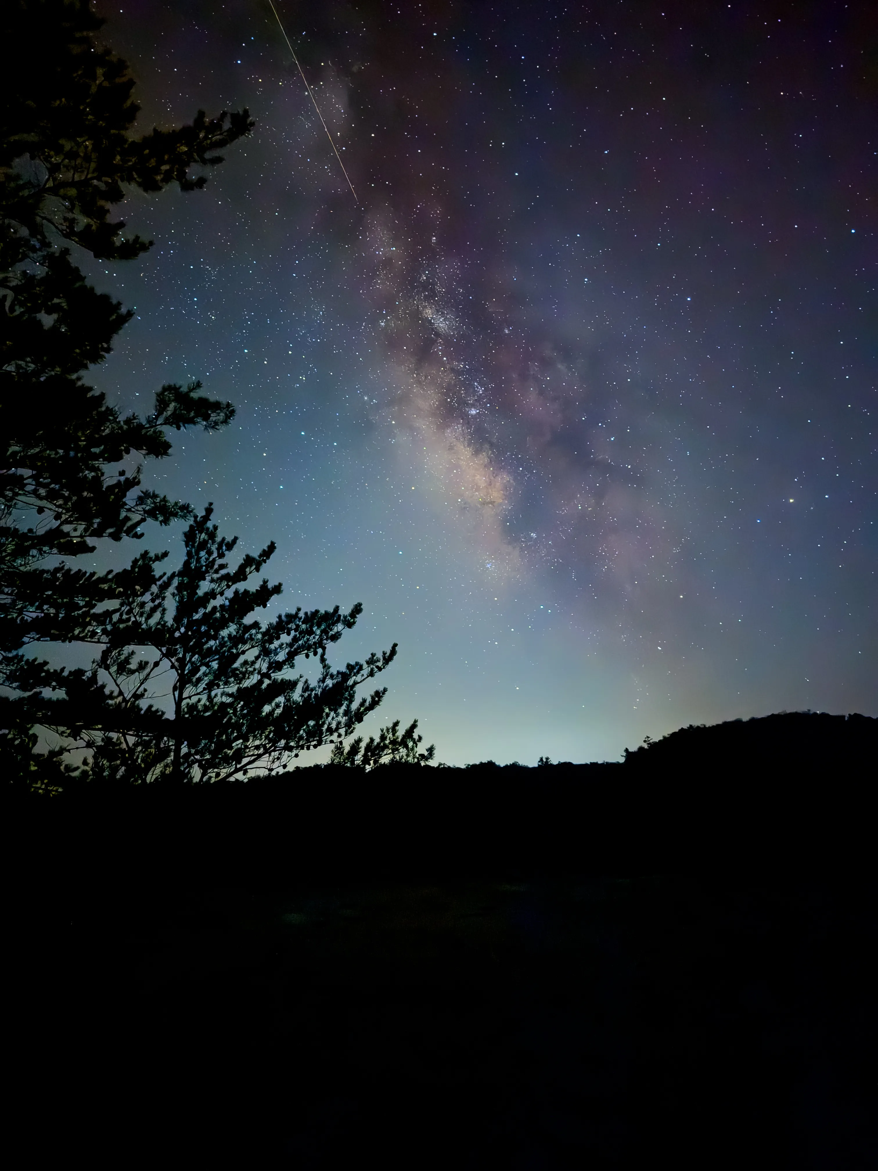 A tracked 30-second exposure of the Milky Way core over a treeline, shot on an iPhone 15 Pro on the mount — stars recorded as points rather than trails.